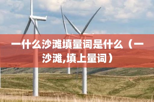 一什么沙滩填量词是什么(一沙滩,填上量词)