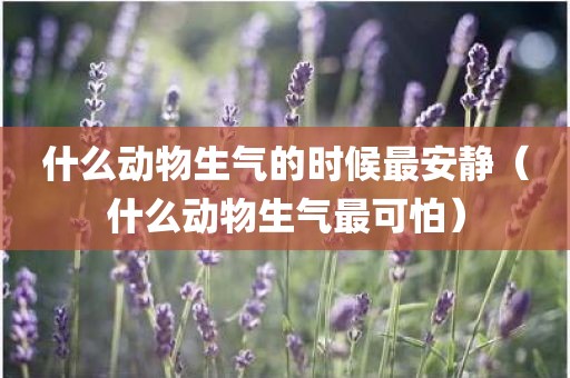 什么动物生气的时候最安静（什么动物生气最可怕）