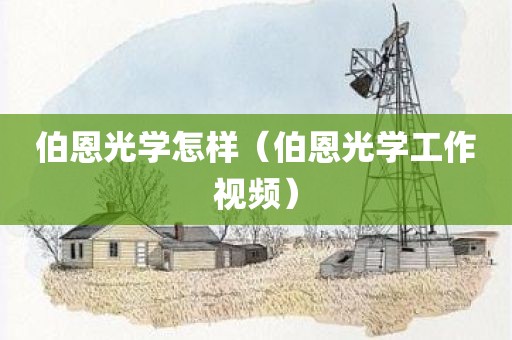 伯恩光学怎样（伯恩光学工作视频）