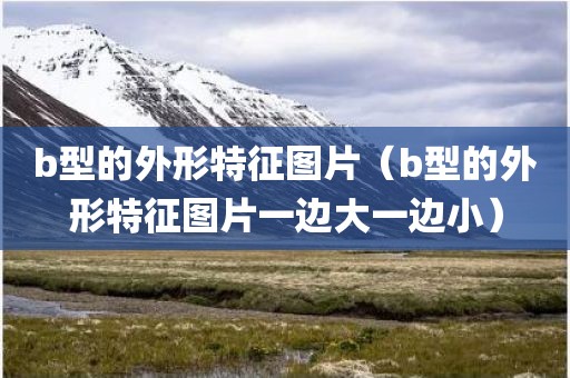 b型的外形特征图片（b型的外形特征图片一边大一边小）