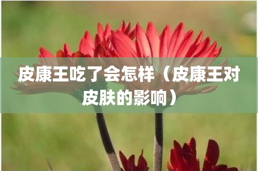 皮康王吃了会怎样（皮康王对皮肤的影响）