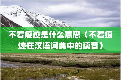 不着痕迹是什么意思（不着痕迹在汉语词典中的读音）