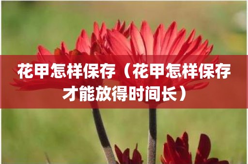 花甲怎样保存（花甲怎样保存才能放得时间长）