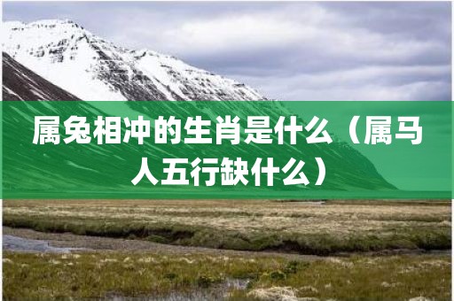 属兔相冲的生肖是什么（属马人五行缺什么）
