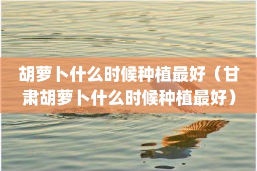 胡萝卜什么时候种植最好（甘肃胡萝卜什么时候种植最好）