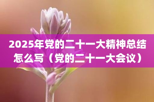 2025年党的二十一大精神总结怎么写（党的二十一大会议）