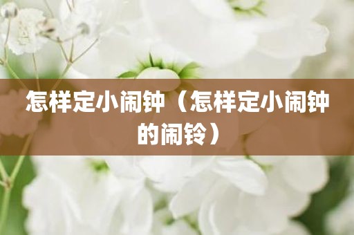 怎样定小闹钟（怎样定小闹钟的闹铃）
