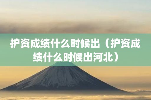护资成绩什么时候出（护资成绩什么时候出河北）