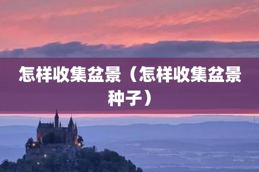 怎样收集盆景（怎样收集盆景种子）