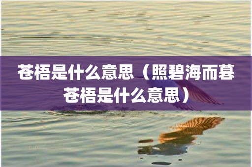 苍梧是什么意思（照碧海而暮苍梧是什么意思）