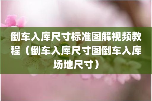 倒车入库尺寸标准图解视频教程(倒车入库尺寸图倒车入库场地尺寸)