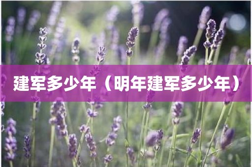 建军多少年（明年建军多少年）