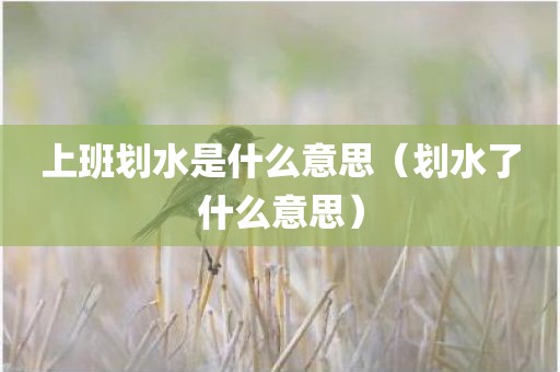 上班划水是什么意思(划水了什么意思)