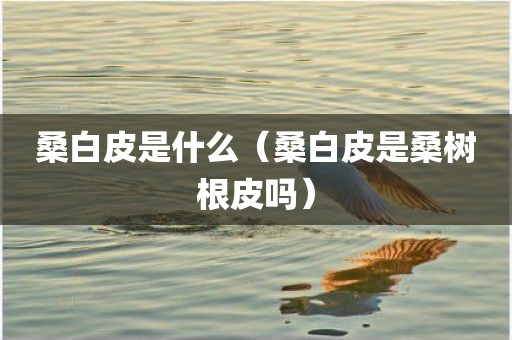 桑白皮是什么（桑白皮是桑树根皮吗）