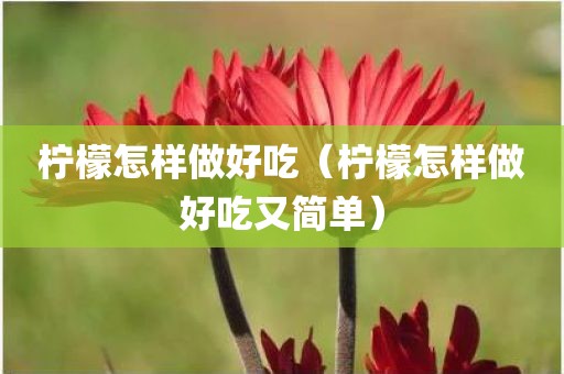 柠檬怎样做好吃（柠檬怎样做好吃又简单）