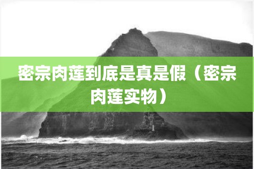 密宗肉莲到底是真是假（密宗肉莲实物）