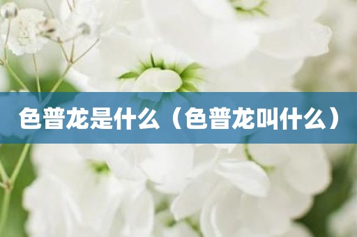 色普龙是什么（色普龙叫什么）