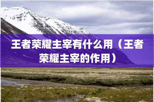 王者荣耀主宰有什么用（王者荣耀主宰的作用）