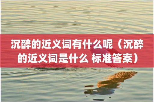 沉醉的近义词有什么呢（沉醉的近义词是什么 标准答案）