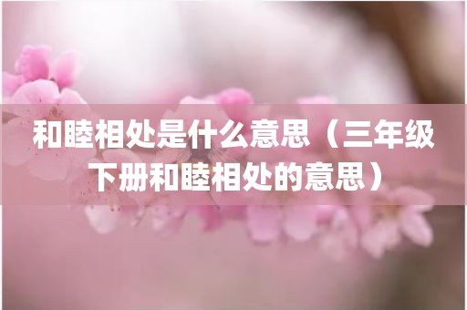 和睦相处是什么意思（三年级下册和睦相处的意思）