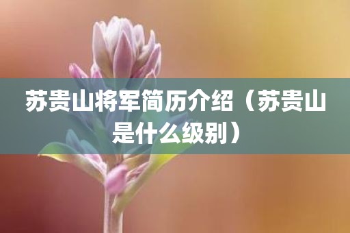 苏贵山将军简历介绍（苏贵山是什么级别）