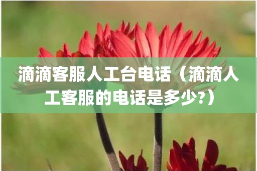 滴滴客服人工台电话（滴滴人工客服的电话是多少?）