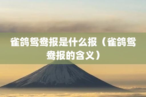 雀鸽鸳鸯报是什么报（雀鸽鸳鸯报的含义）