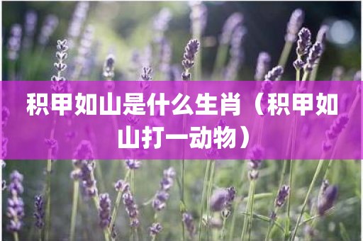 积甲如山是什么生肖（积甲如山打一动物）