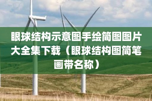 眼球结构示意图手绘简图图片大全集下载（眼球结构图简笔画带名称）