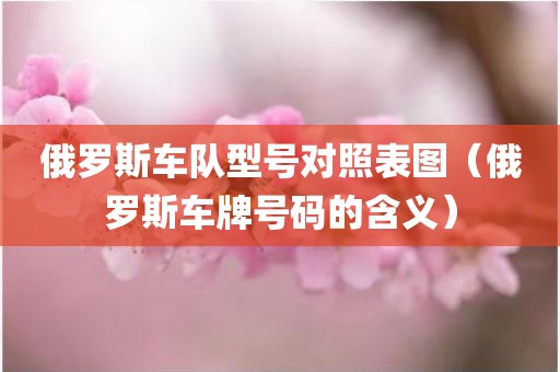 俄罗斯车队型号对照表图（俄罗斯车牌号码的含义）