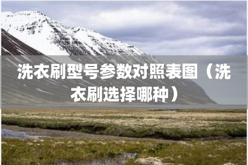 洗衣刷型号参数对照表图（洗衣刷选择哪种）