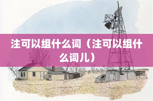 注可以组什么词（注可以组什么词儿）