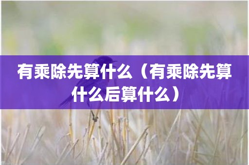 有乘除先算什么（有乘除先算什么后算什么）