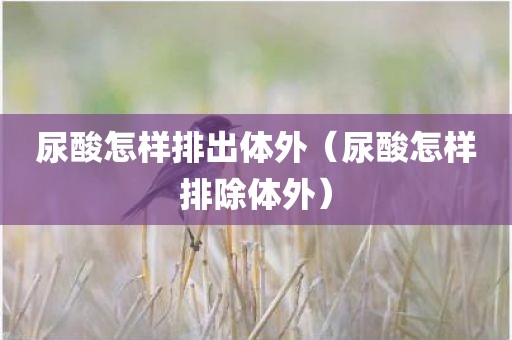 尿酸怎样排出体外（尿酸怎样排除体外）