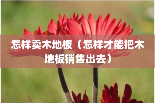 怎样卖木地板（怎样才能把木地板销售出去）