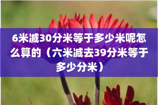 6米减30分米等于多少米呢怎么算的（六米减去39分米等于多少分米）