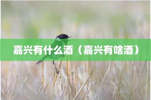 嘉兴有什么酒（嘉兴有啥酒）
