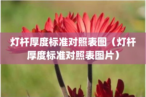 灯杆厚度标准对照表图（灯杆厚度标准对照表图片）