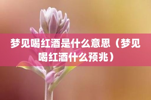 梦见喝红酒是什么意思（梦见喝红酒什么预兆）