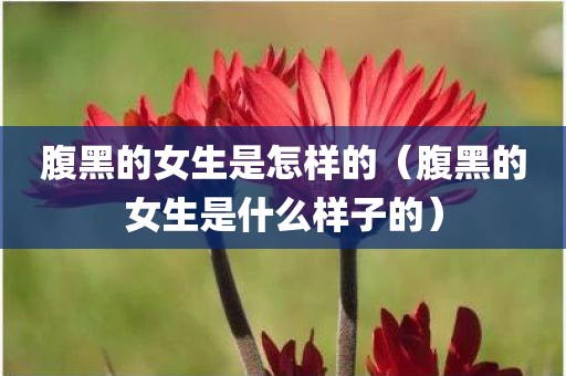 腹黑的女生是怎样的（腹黑的女生是什么样子的）
