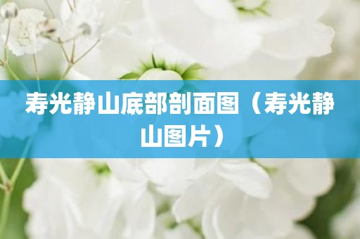 寿光静山底部剖面图(寿光静山图片) 寿光静山底部剖面图(寿光静山图片)