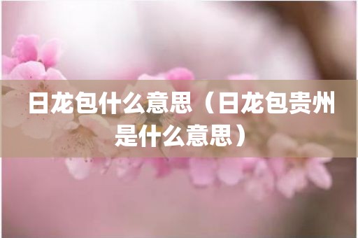 日龙包什么意思（日龙包贵州是什么意思）