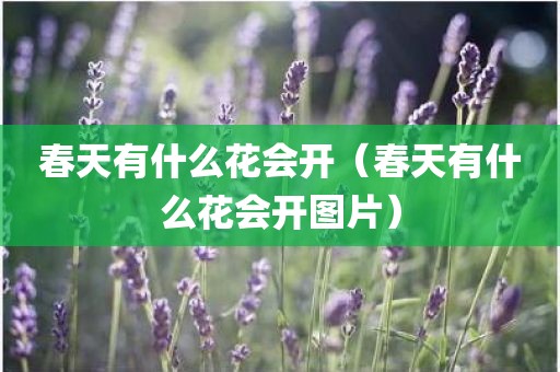 春天有什么花会开（春天有什么花会开图片）