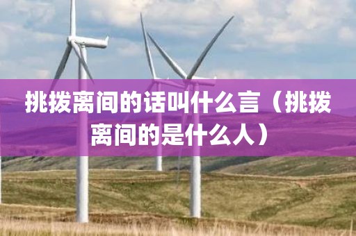 挑拨离间的话叫什么言（挑拨离间的是什么人）