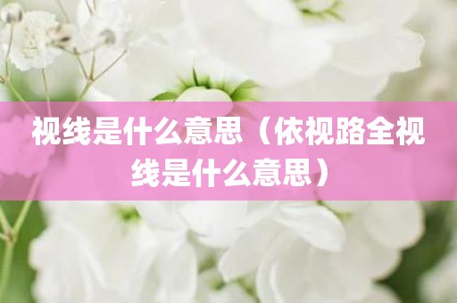 视线是什么意思(依视路全视线是什么意思)