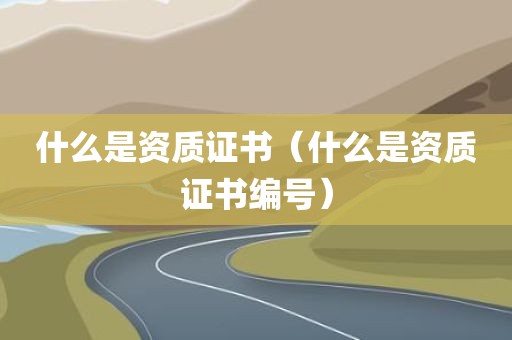 什么是资质证书（什么是资质证书编号）