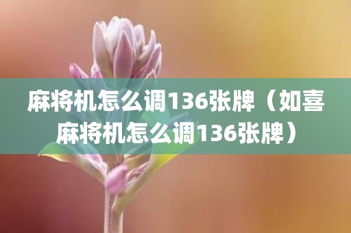 麻将机怎么调136张牌（如喜麻将机怎么调136张牌）
