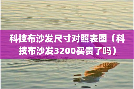 科技布沙发尺寸对照表图（科技布沙发3200买贵了吗）