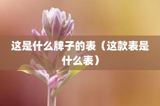 这是什么牌子的表（这款表是什么表）