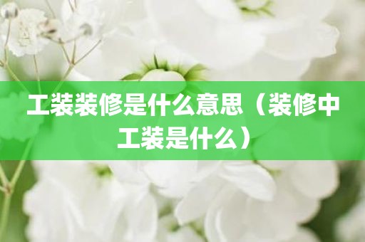 工装装修是什么意思(装修中工装是什么)